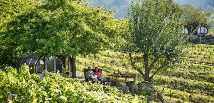 Deutsche Weinstrasse Pfalz wijndorpen